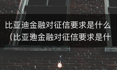 比亚迪金融对征信要求是什么（比亚迪金融对征信要求是什么样的）