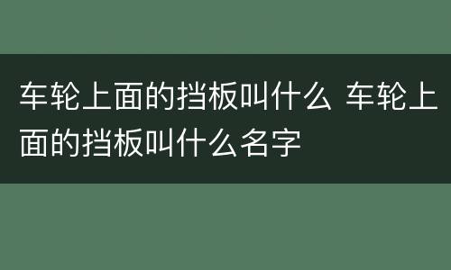 车轮上面的挡板叫什么 车轮上面的挡板叫什么名字