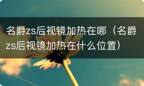 名爵zs后视镜加热在哪（名爵zs后视镜加热在什么位置）