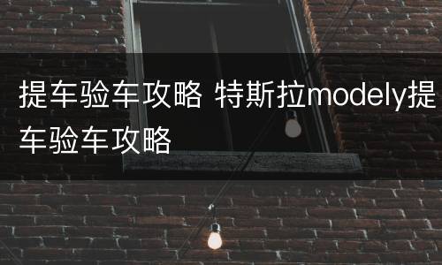 提车验车攻略 特斯拉modely提车验车攻略