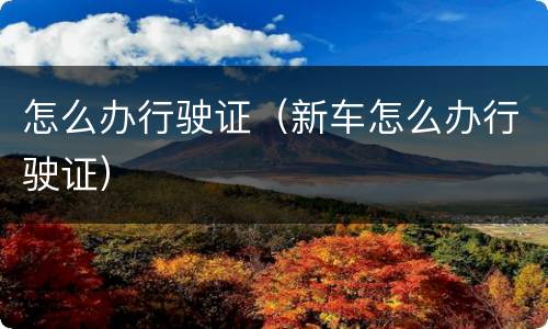 怎么办行驶证（新车怎么办行驶证）