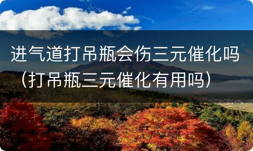 进气道打吊瓶会伤三元催化吗（打吊瓶三元催化有用吗）