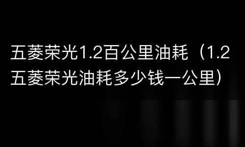五菱荣光1.2百公里油耗（1.2五菱荣光油耗多少钱一公里）