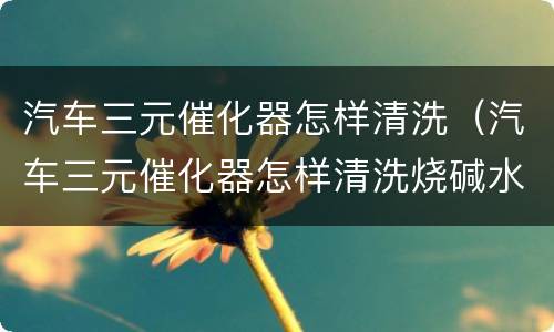 汽车三元催化器怎样清洗（汽车三元催化器怎样清洗烧碱水可以吗）