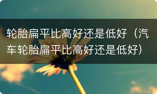 轮胎扁平比高好还是低好（汽车轮胎扁平比高好还是低好）