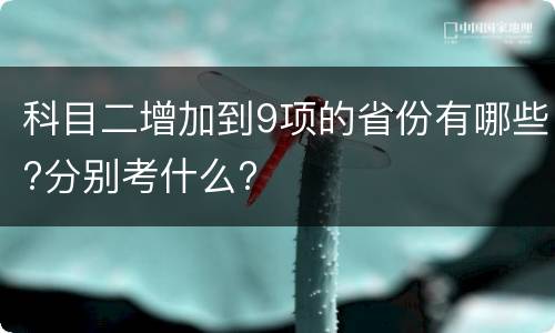 科目二增加到9项的省份有哪些?分别考什么?