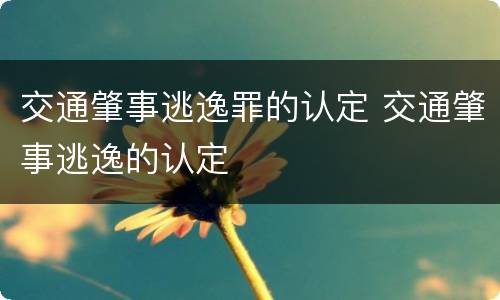 交通肇事逃逸罪的认定 交通肇事逃逸的认定