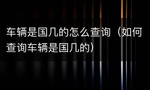 车辆是国几的怎么查询（如何查询车辆是国几的）