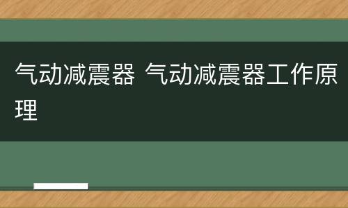 气动减震器 气动减震器工作原理