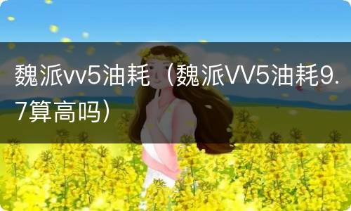 魏派vv5油耗（魏派VV5油耗9.7算高吗）