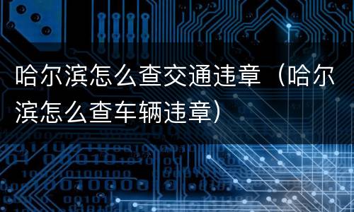 哈尔滨怎么查交通违章（哈尔滨怎么查车辆违章）