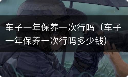 车子一年保养一次行吗（车子一年保养一次行吗多少钱）