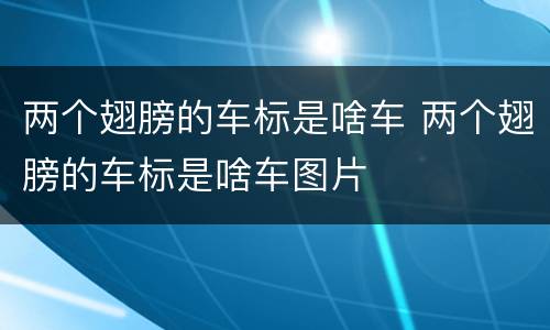 两个翅膀的车标是啥车 两个翅膀的车标是啥车图片