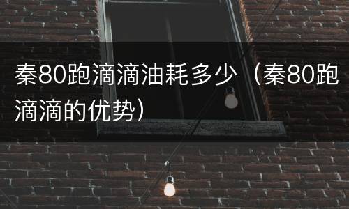 秦80跑滴滴油耗多少（秦80跑滴滴的优势）