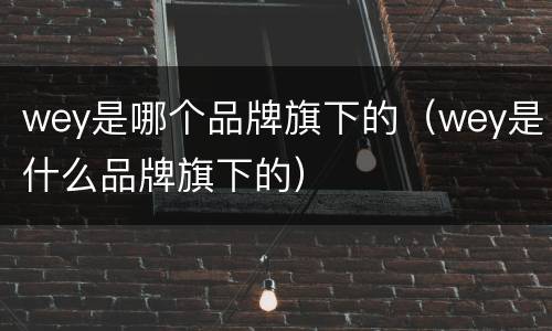 wey是哪个品牌旗下的（wey是什么品牌旗下的）
