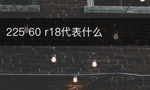225 60 r18代表什么