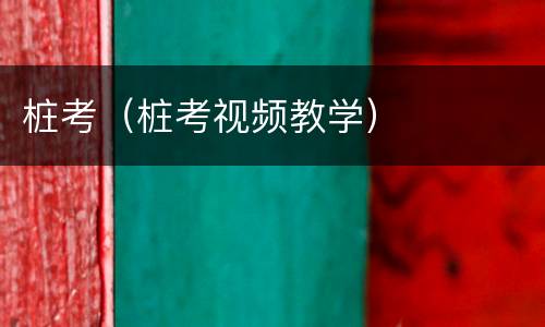桩考（桩考视频教学）