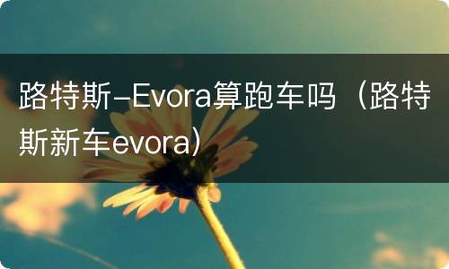 路特斯-Evora算跑车吗（路特斯新车evora）