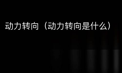 动力转向（动力转向是什么）