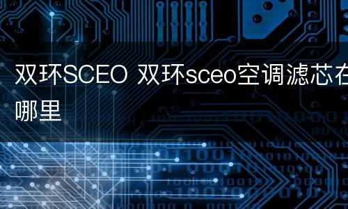 双环SCEO 双环sceo空调滤芯在哪里