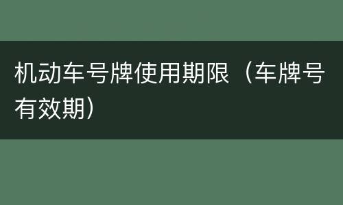 机动车号牌使用期限（车牌号有效期）