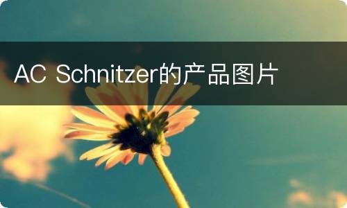 AC Schnitzer的产品图片