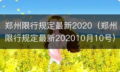 郑州限行规定最新2020（郑州限行规定最新202010月10号）