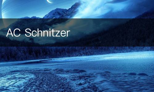 AC Schnitzer