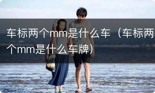 车标两个mm是什么车（车标两个mm是什么车牌）