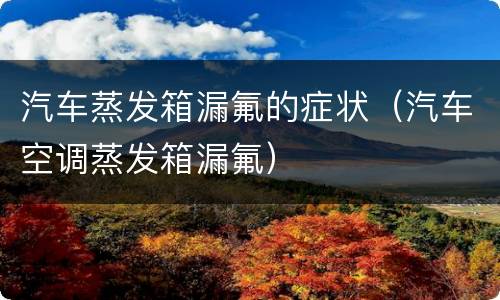 汽车蒸发箱漏氟的症状（汽车空调蒸发箱漏氟）