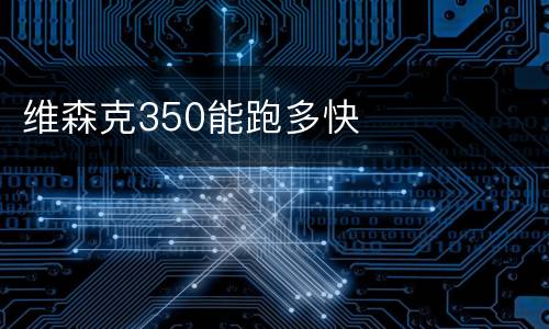 维森克350能跑多快