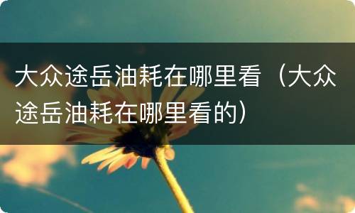 大众途岳油耗在哪里看（大众途岳油耗在哪里看的）