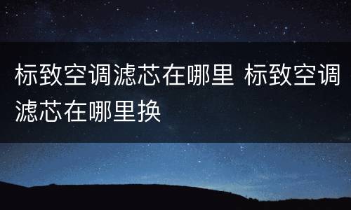 标致空调滤芯在哪里 标致空调滤芯在哪里换