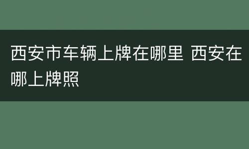 西安市车辆上牌在哪里 西安在哪上牌照