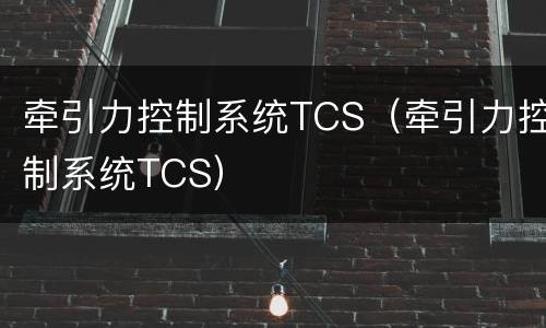 牵引力控制系统TCS（牵引力控制系统TCS）