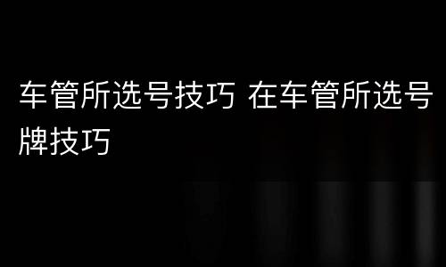 车管所选号技巧 在车管所选号牌技巧