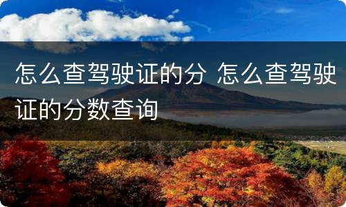 怎么查驾驶证的分 怎么查驾驶证的分数查询