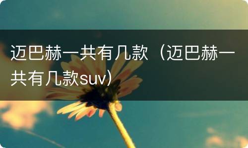 迈巴赫一共有几款（迈巴赫一共有几款suv）