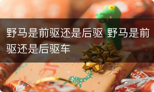 野马是前驱还是后驱 野马是前驱还是后驱车
