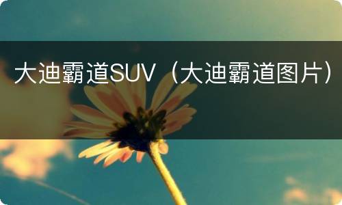 大迪霸道SUV（大迪霸道图片）