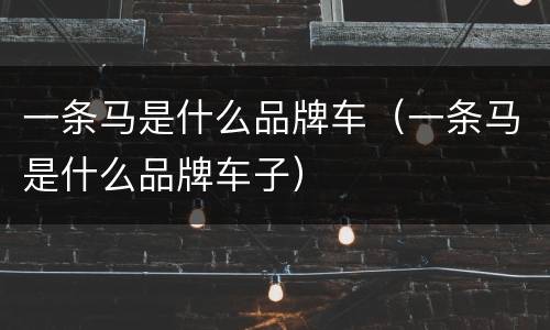 一条马是什么品牌车（一条马是什么品牌车子）