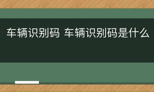车辆识别码 车辆识别码是什么