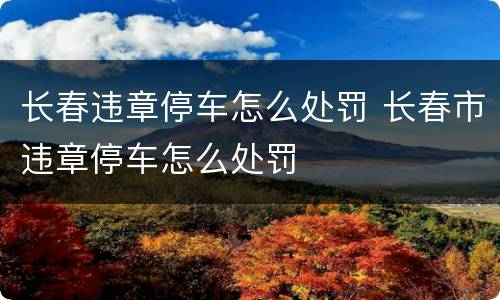 长春违章停车怎么处罚 长春市违章停车怎么处罚
