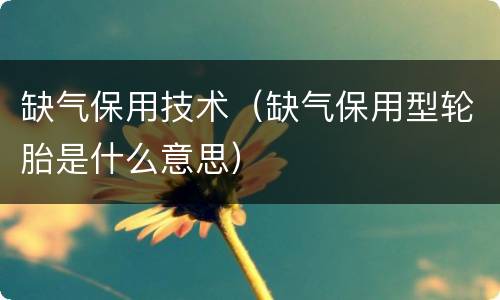 缺气保用技术（缺气保用型轮胎是什么意思）