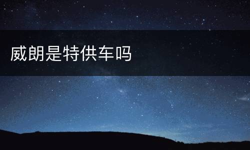威朗是特供车吗