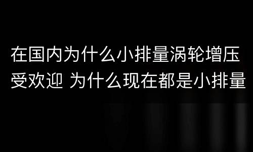 在国内为什么小排量涡轮增压受欢迎 为什么现在都是小排量涡轮