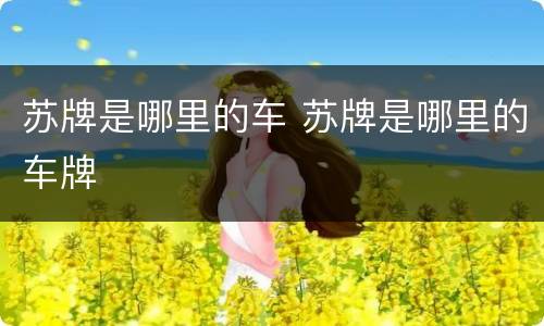 苏牌是哪里的车 苏牌是哪里的车牌