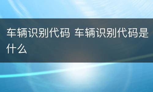 车辆识别代码 车辆识别代码是什么