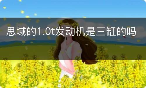 思域的1.0t发动机是三缸的吗
