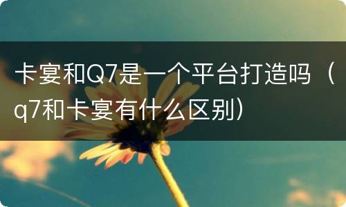 卡宴和Q7是一个平台打造吗（q7和卡宴有什么区别）
